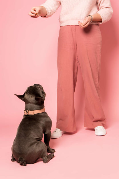 Blush Pink Dog Collar