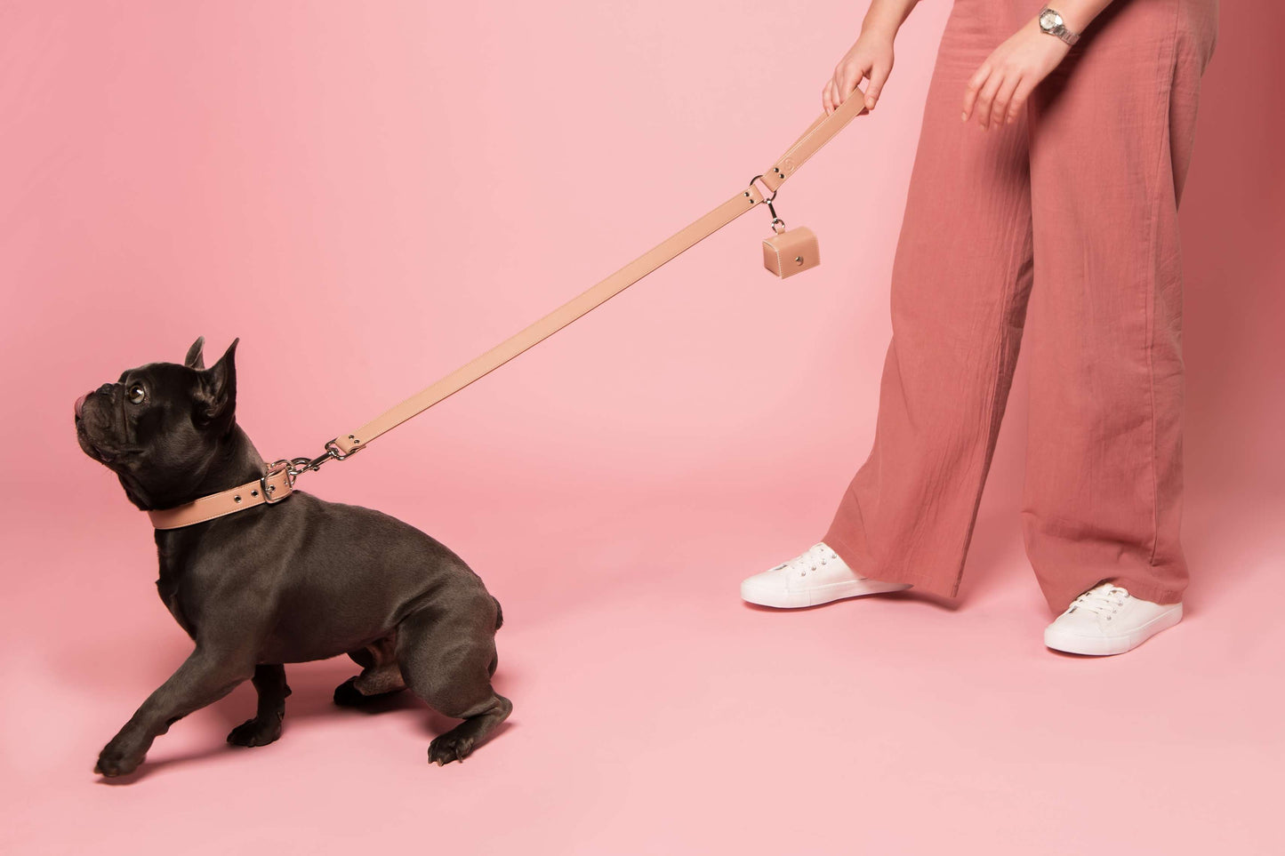 Blush Pink Dog Collar